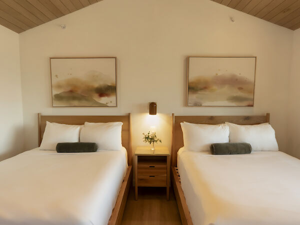 Two neatly made twin beds with white linens and gray bolster pillows sit side by side, a wooden nightstand with a lamp and plant between them.