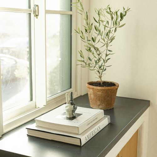 A small potted plant sits on a dark windowsill stack of books, beside a metal lamp and a glassy window with a pale green wall in the background.