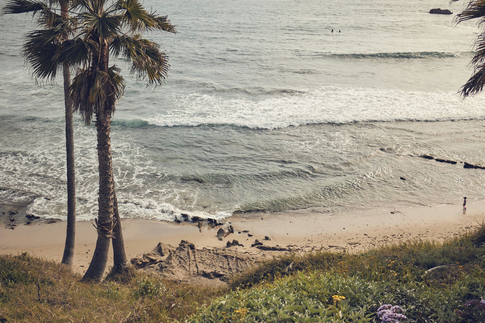A sunny beach with a few palm trees, gentle waves, and people near the shore enjoying a calm day at the coast.