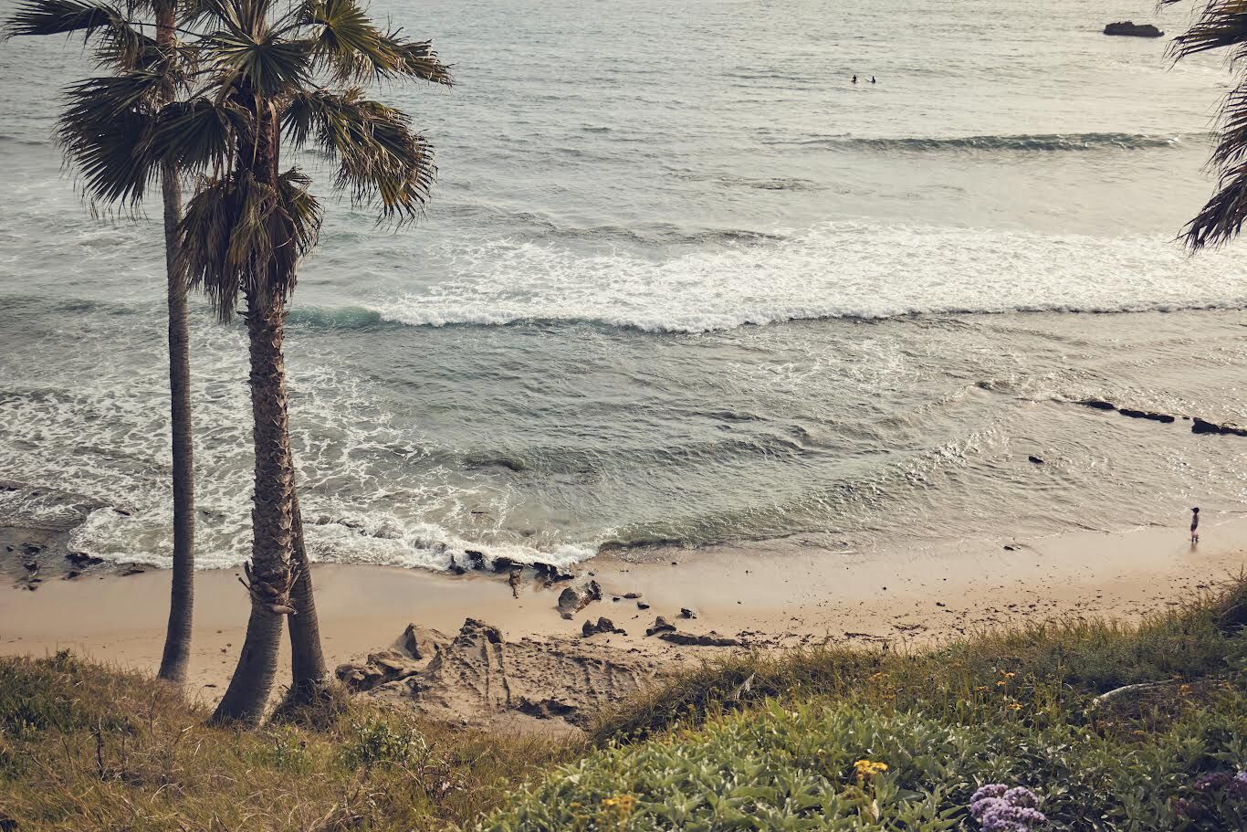 A sunny beach with a palm tree, gentle waves, and a few people along the shore.