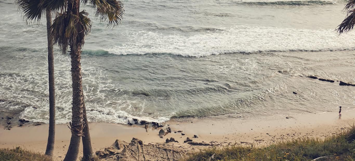 A sunny beach with a palm tree, gentle waves, and a few people along the shore.