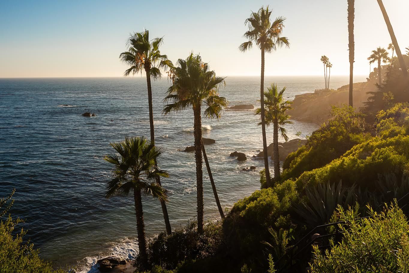 Sunset over the ocean with tall palm trees along a coastal cliff, casting warm light on the waves.