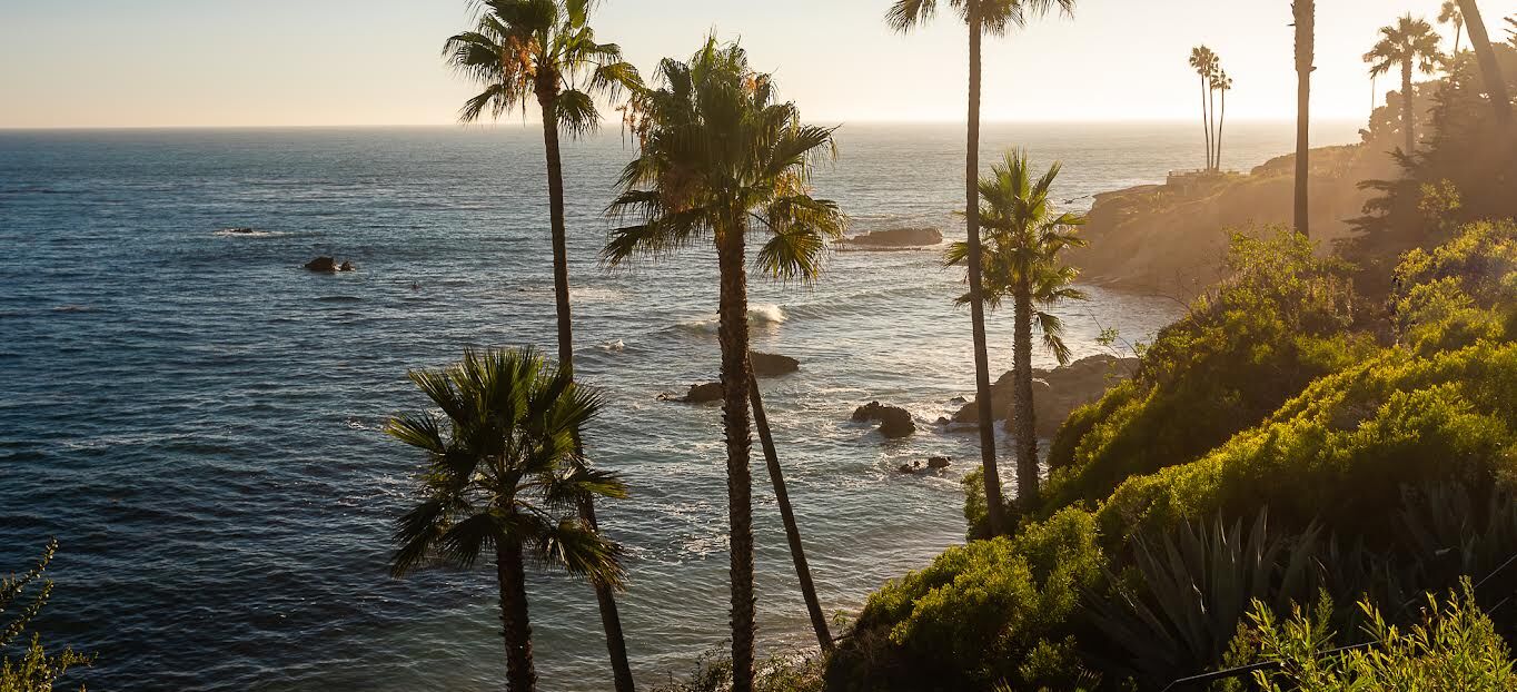 Sunset over the ocean with tall palm trees along a coastal cliff, casting warm light on the waves.